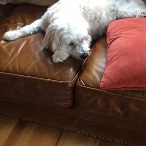 Meet your Posher, Joe